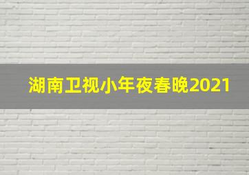 湖南卫视小年夜春晚2021