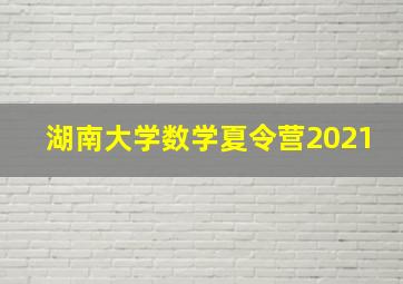 湖南大学数学夏令营2021