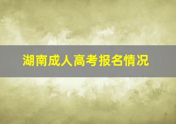 湖南成人高考报名情况