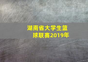 湖南省大学生篮球联赛2019年