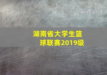 湖南省大学生篮球联赛2019级