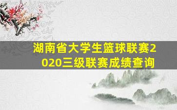 湖南省大学生篮球联赛2020三级联赛成绩查询