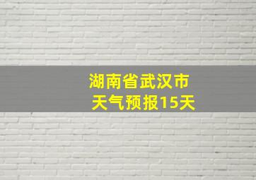 湖南省武汉市天气预报15天