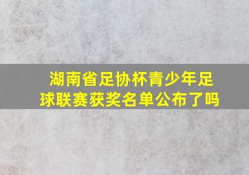 湖南省足协杯青少年足球联赛获奖名单公布了吗