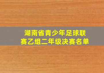 湖南省青少年足球联赛乙组二年级决赛名单