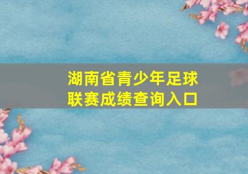 湖南省青少年足球联赛成绩查询入口