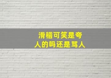 滑稽可笑是夸人的吗还是骂人