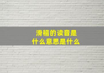 滑稽的读音是什么意思是什么