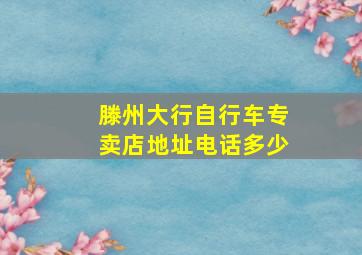 滕州大行自行车专卖店地址电话多少