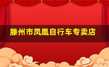 滕州市凤凰自行车专卖店