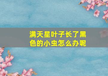 满天星叶子长了黑色的小虫怎么办呢