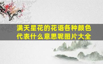 满天星花的花语各种颜色代表什么意思呢图片大全