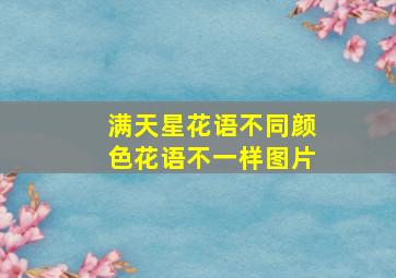 满天星花语不同颜色花语不一样图片