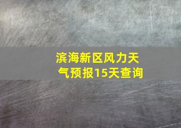 滨海新区风力天气预报15天查询