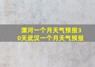 漯河一个月天气预报30天武汉一个月天气预报