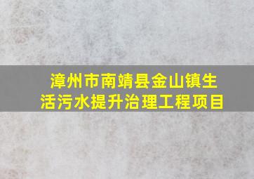 漳州市南靖县金山镇生活污水提升治理工程项目