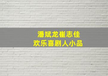 潘斌龙崔志佳欢乐喜剧人小品