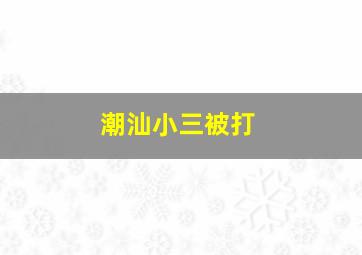 潮汕小三被打