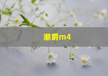 潮爵m4