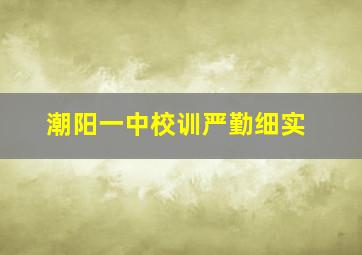 潮阳一中校训严勤细实