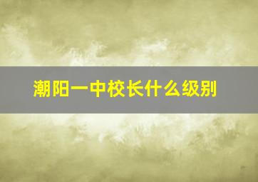 潮阳一中校长什么级别