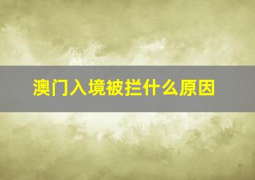 澳门入境被拦什么原因