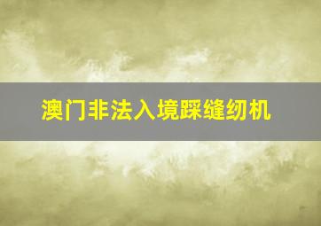 澳门非法入境踩缝纫机