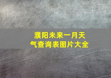 濮阳未来一月天气查询表图片大全