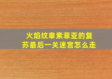 火焰纹章索菲亚的复苏最后一关迷宫怎么走