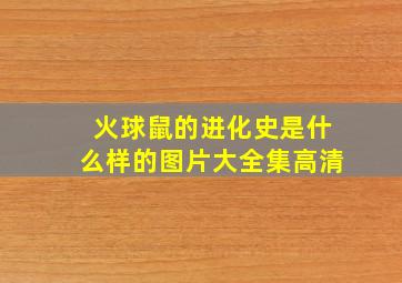 火球鼠的进化史是什么样的图片大全集高清