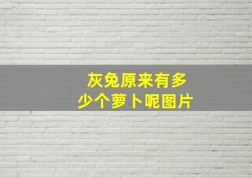 灰兔原来有多少个萝卜呢图片