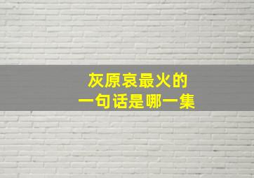 灰原哀最火的一句话是哪一集