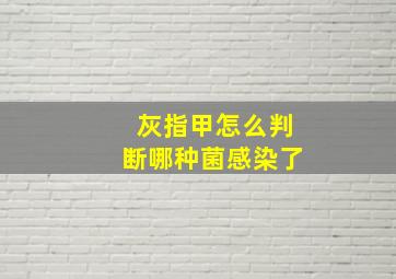 灰指甲怎么判断哪种菌感染了