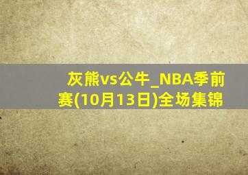 灰熊vs公牛_NBA季前赛(10月13日)全场集锦