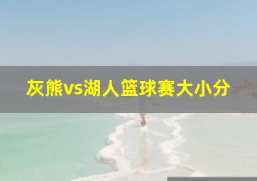 灰熊vs湖人篮球赛大小分