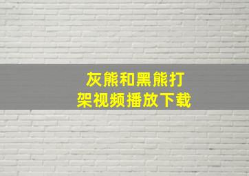 灰熊和黑熊打架视频播放下载