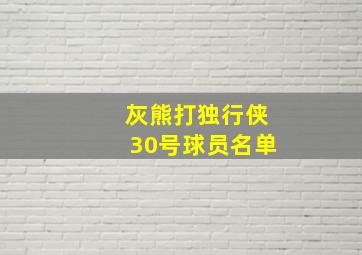 灰熊打独行侠30号球员名单