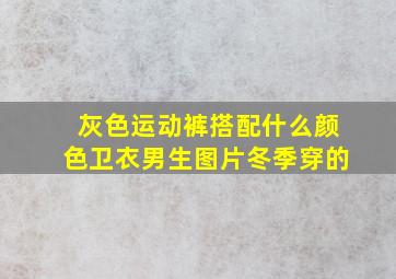 灰色运动裤搭配什么颜色卫衣男生图片冬季穿的