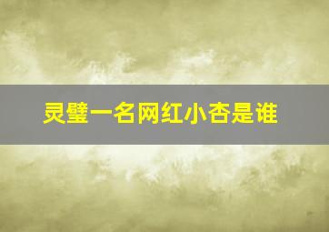 灵璧一名网红小杏是谁