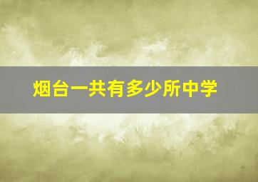 烟台一共有多少所中学