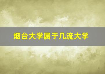 烟台大学属于几流大学