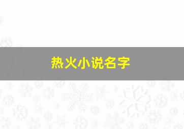 热火小说名字