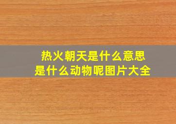 热火朝天是什么意思是什么动物呢图片大全