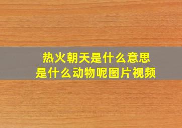 热火朝天是什么意思是什么动物呢图片视频