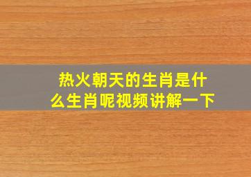 热火朝天的生肖是什么生肖呢视频讲解一下