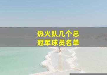 热火队几个总冠军球员名单