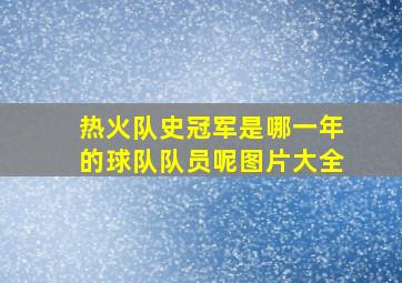 热火队史冠军是哪一年的球队队员呢图片大全