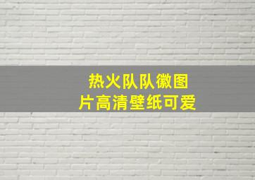 热火队队徽图片高清壁纸可爱