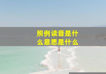 照例读音是什么意思是什么