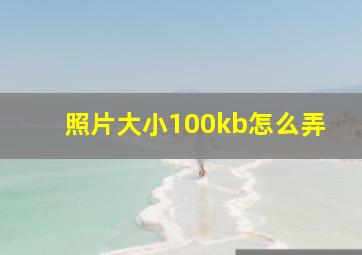 照片大小100kb怎么弄